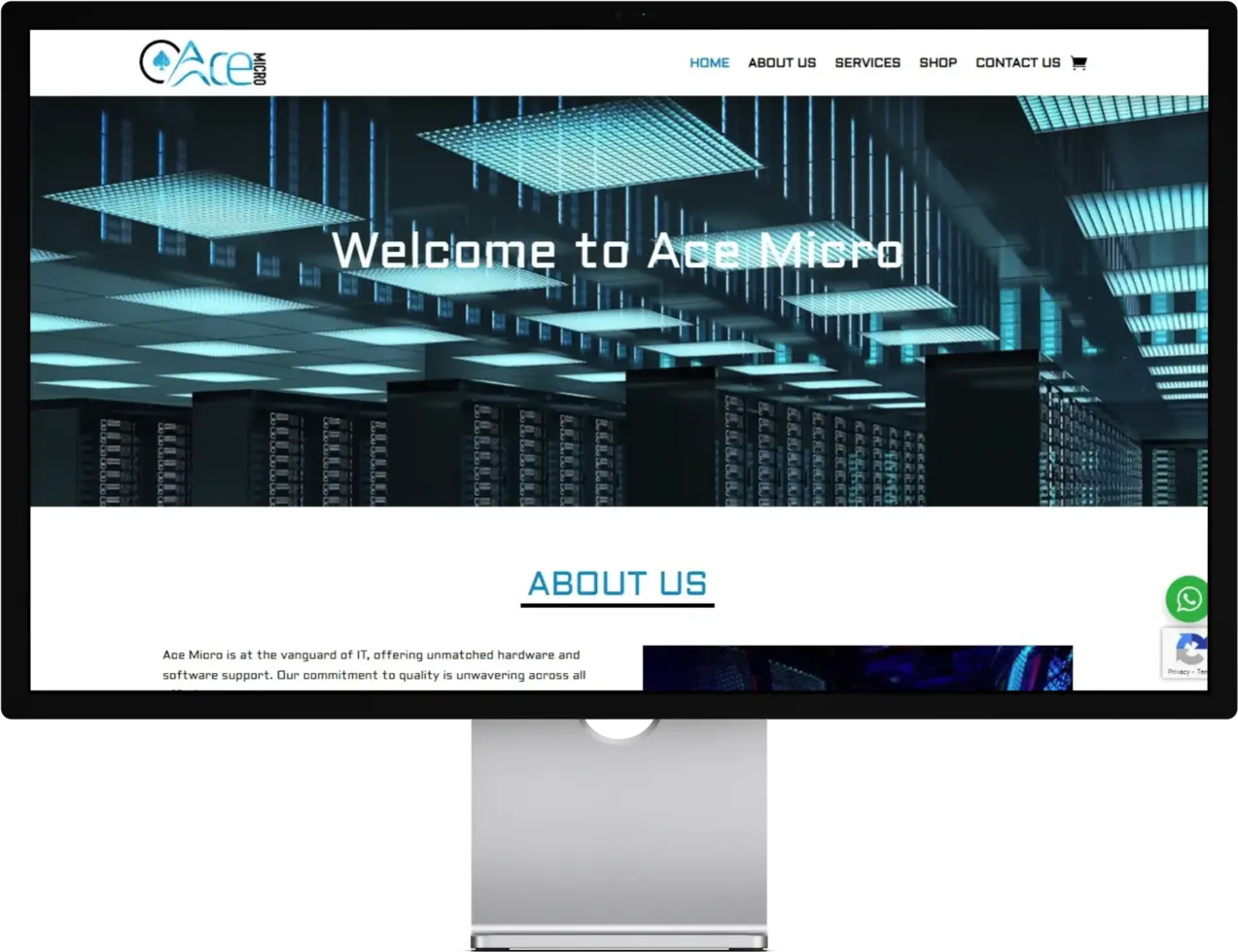 Ace Micro website screenshot